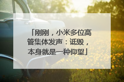 刚刚，小米多位高管集体发声：诋毁，本身就是一种仰望