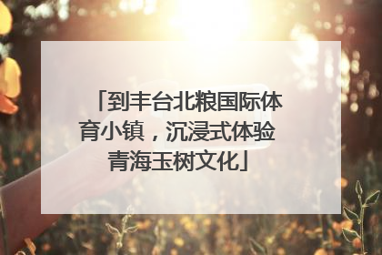 到丰台北粮国际体育小镇，沉浸式体验青海玉树文化