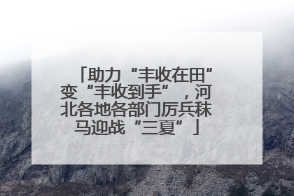 助力“丰收在田”变“丰收到手”，河北各地各部门厉兵秣马迎战“三夏”
