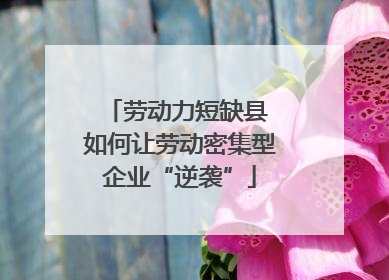 劳动力短缺县 如何让劳动密集型企业“逆袭”