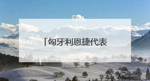 匈牙利恩捷代表受邀出席海南自贸港匈牙利推介会