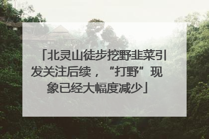 北灵山徒步挖野韭菜引发关注后续，“打野”现象已经大幅度减少