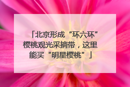 北京形成“环六环”樱桃观光采摘带，这里能买“明星樱桃”