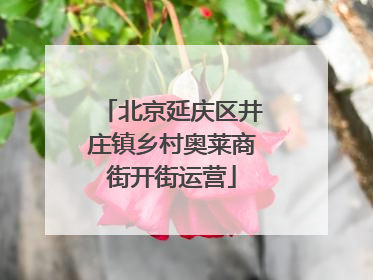 北京延庆区井庄镇乡村奥莱商街开街运营