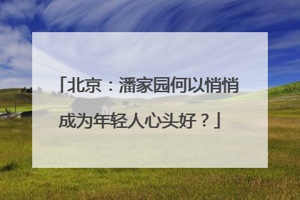 北京：潘家园何以悄悄成为年轻人心头好？