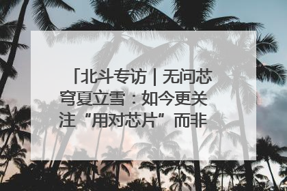 北斗专访｜无问芯穹夏立雪：如今更关注“用对芯片”而非“用贵芯片”