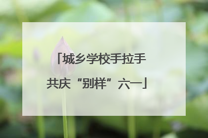 城乡学校手拉手 共庆“别样”六一