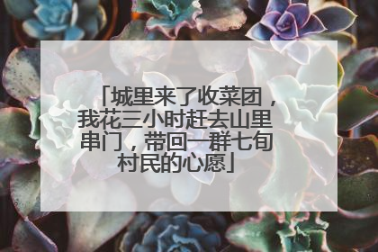 城里来了收菜团，我花三小时赶去山里串门，带回一群七旬村民的心愿