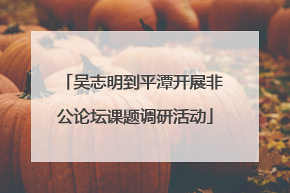 吴志明到平潭开展非公论坛课题调研活动
