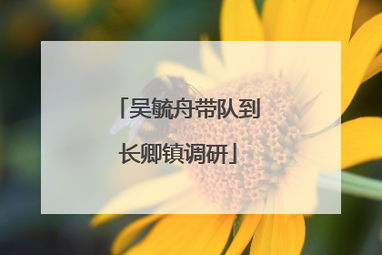吴毓舟带队到长卿镇调研