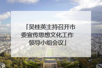 吴桂英主持召开市委宣传思想文化工作领导小组会议