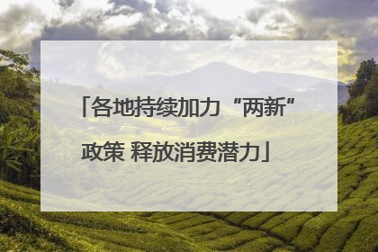 各地持续加力“两新”政策 释放消费潜力