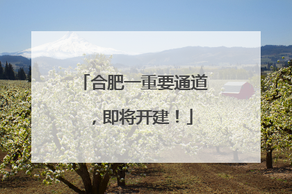 合肥一重要通道，即将开建！
