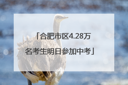 合肥市区4.28万名考生明日参加中考