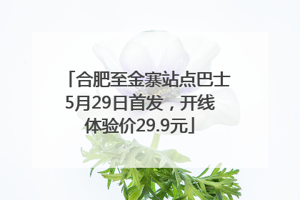 合肥至金寨站点巴士5月29日首发，开线体验价29.9元