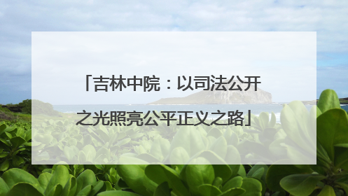 吉林中院：以司法公开之光照亮公平正义之路
