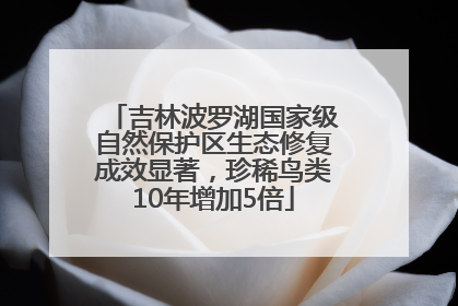 吉林波罗湖国家级自然保护区生态修复成效显著，珍稀鸟类10年增加5倍