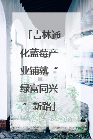 吉林通化蓝莓产业铺就“绿富同兴”新路