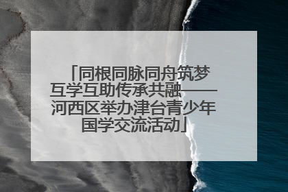 同根同脉同舟筑梦 互学互助传承共融——河西区举办津台青少年国学交流活动