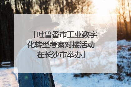 吐鲁番市工业数字化转型考察对接活动在长沙市举办