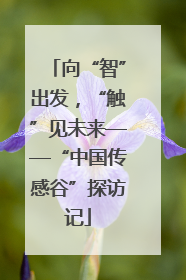 向“智”出发，“触”见未来——“中国传感谷”探访记