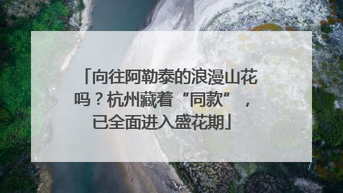 向往阿勒泰的浪漫山花吗？杭州藏着“同款”，已全面进入盛花期