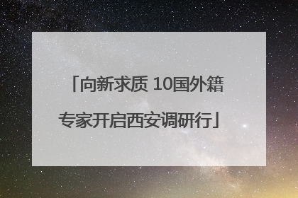 向新求质 10国外籍专家开启西安调研行