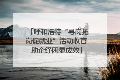 呼和浩特“寻岗拓岗促就业”活动收官 助企纾困显成效