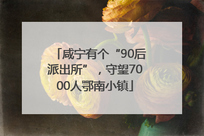 咸宁有个“90后派出所”，守望7000人鄂南小镇