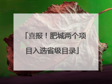 喜报！肥城两个项目入选省级目录