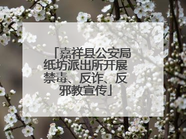 嘉祥县公安局纸坊派出所开展禁毒、反诈、反邪教宣传