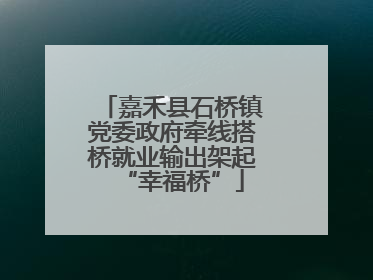 嘉禾县石桥镇党委政府牵线搭桥就业输出架起“幸福桥”