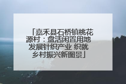 嘉禾县石桥镇桃花源村：盘活闲置用地发展针织产业 织就乡村振兴新图景