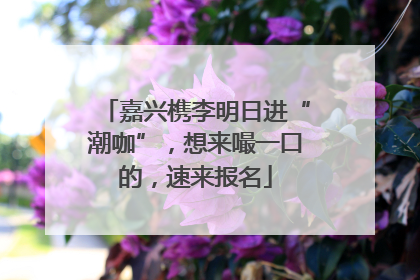 嘉兴槜李明日进“潮咖”，想来嘬一口的，速来报名