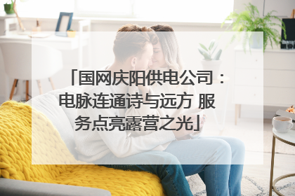 国网庆阳供电公司：电脉连通诗与远方 服务点亮露营之光