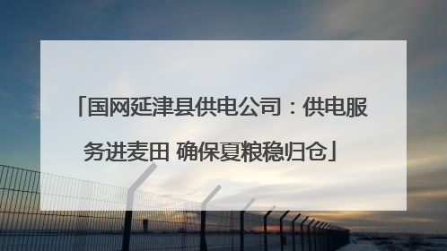 国网延津县供电公司：供电服务进麦田 确保夏粮稳归仓