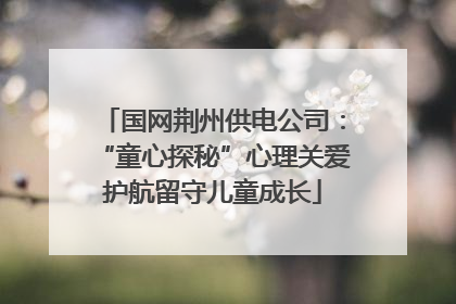 国网荆州供电公司：“童心探秘”心理关爱护航留守儿童成长