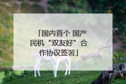 国内首个 国产民机“双友好”合作协议签署