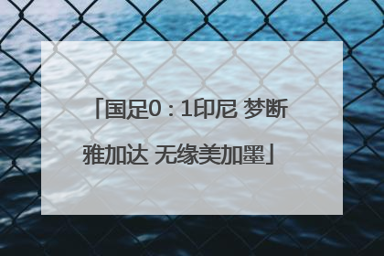 国足0∶1印尼 梦断雅加达 无缘美加墨