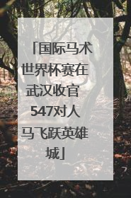 国际马术世界杯赛在武汉收官 547对人马飞跃英雄城