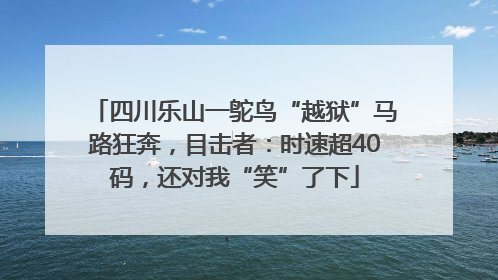 四川乐山一鸵鸟“越狱”马路狂奔，目击者：时速超40码，还对我“笑”了下