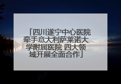 四川遂宁中心医院牵手意大利萨莱诺大学附属医院 四大领域开展全面合作