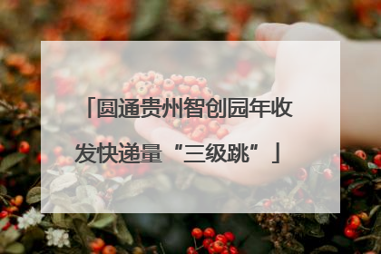 圆通贵州智创园年收发快递量“三级跳”