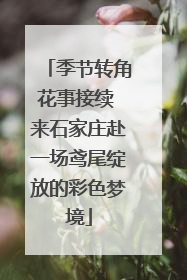 季节转角花事接续 来石家庄赴一场鸢尾绽放的彩色梦境