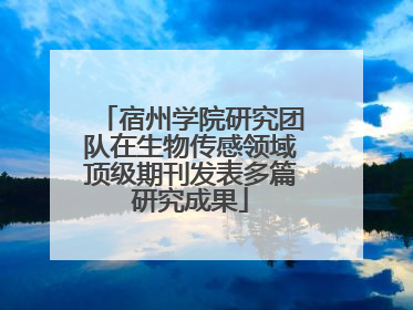 宿州学院研究团队在生物传感领域顶级期刊发表多篇研究成果