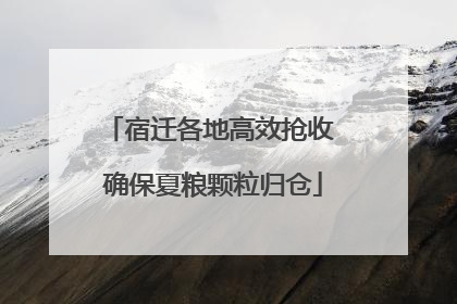 宿迁各地高效抢收 确保夏粮颗粒归仓
