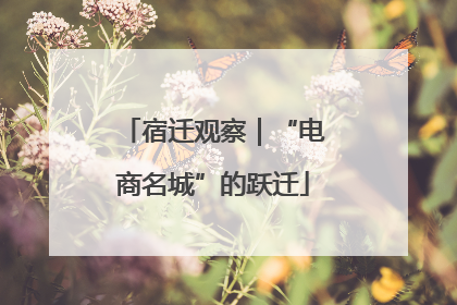 宿迁观察｜“电商名城”的跃迁
