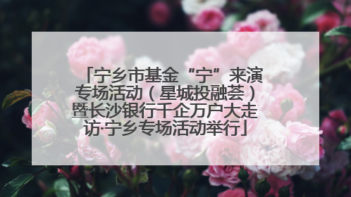 宁乡市基金“宁”来演专场活动（星城投融荟）暨长沙银行千企万户大走访·宁乡专场活动举行