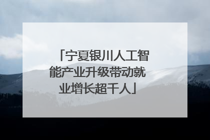宁夏银川人工智能产业升级带动就业增长超千人