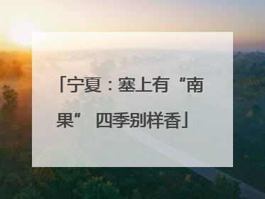 宁夏：塞上有“南果” 四季别样香